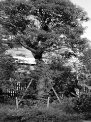 崇川注册公司